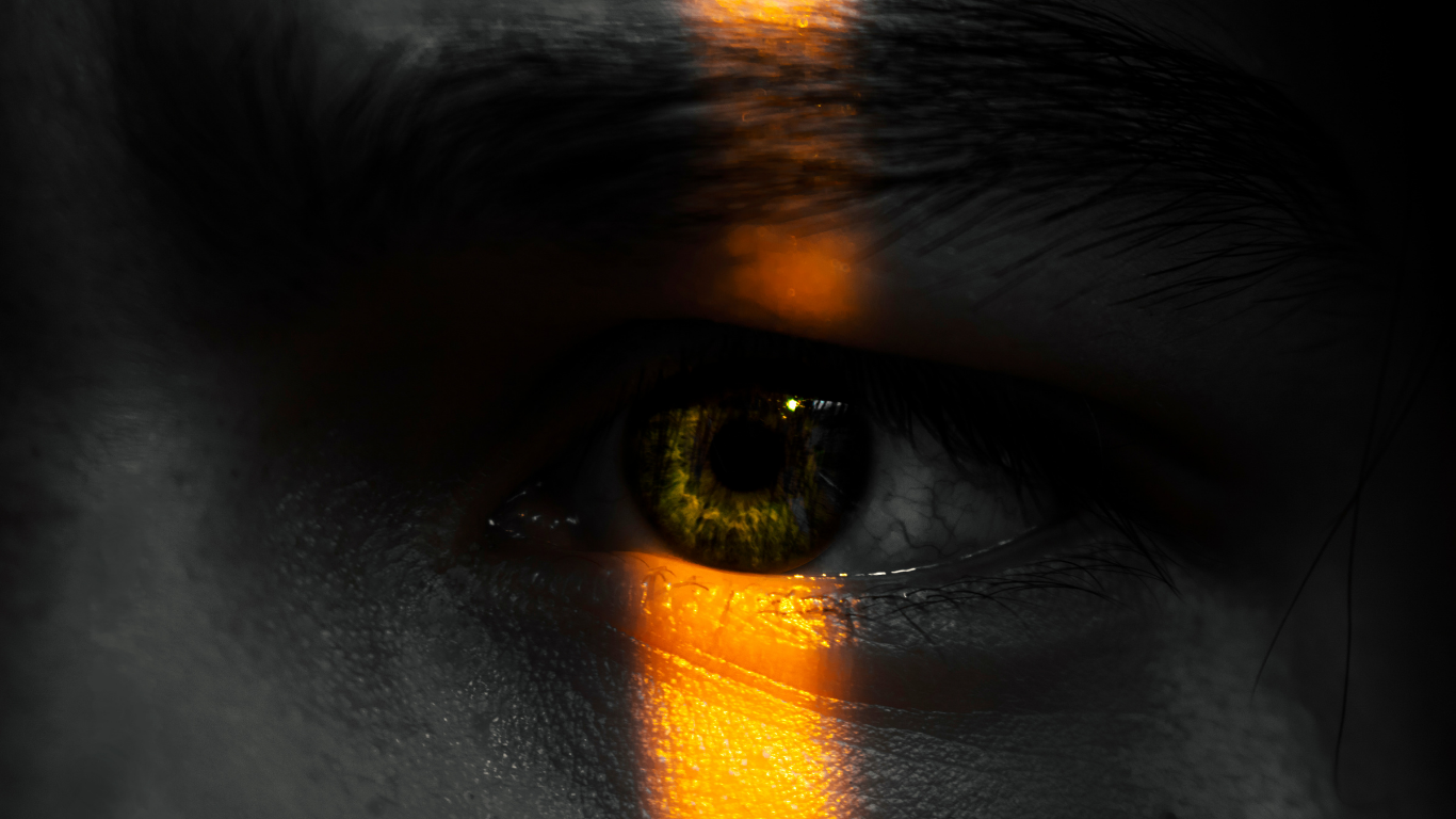 shadow self