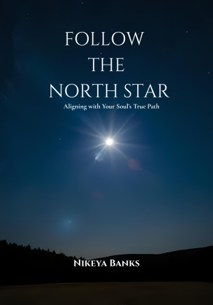 Follow the North Star