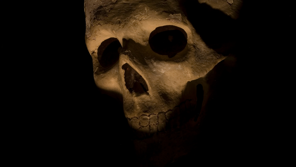 SKELETONS