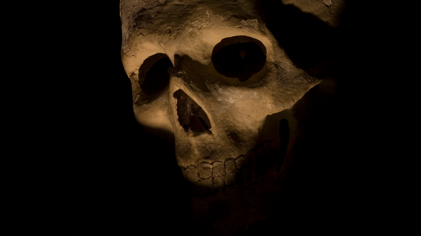 SKELETONS