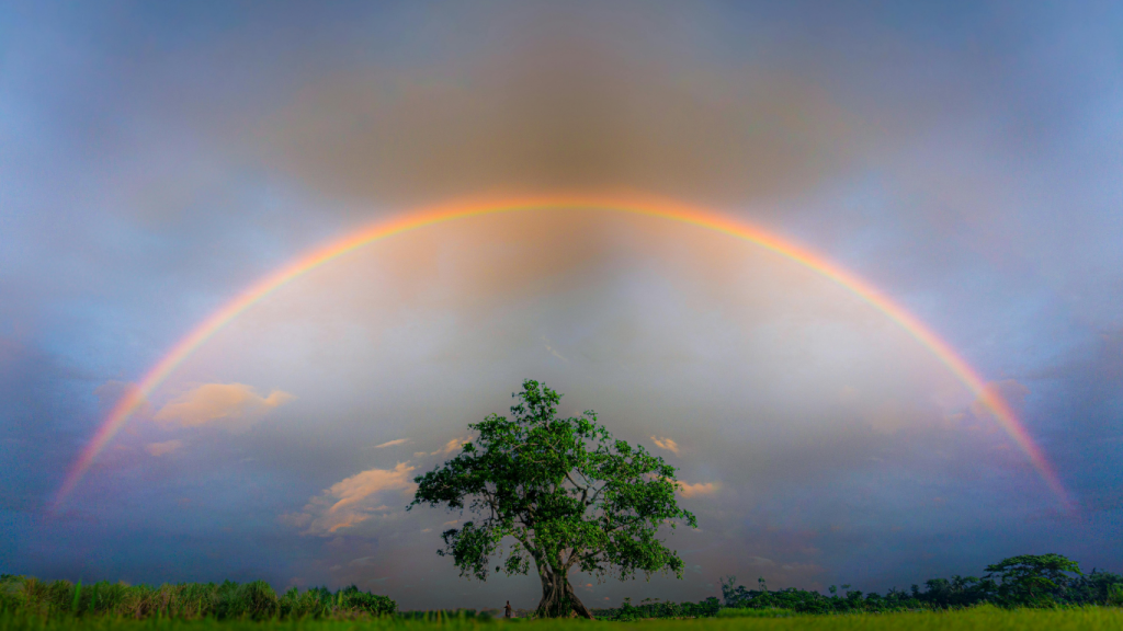 Rainbow Activation